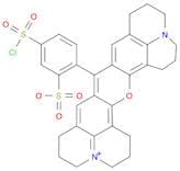 Sulforhodamine 101 acid chloride