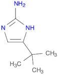5-(tert-Butyl)-1H-imidazol-2-amine