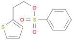 2-(2-THIENYL)ETHYL BENZENESULFONATE