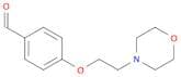 4-(2-Morpholinoethoxy)benzaldehyde