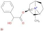 Methylhomatropine (bromide)
