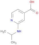 2-(Isopropylamino)isonicotinic acid