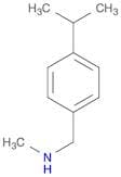 methyl({[4-(propan-2-yl)phenyl]methyl})amine