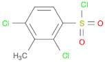 2,4-Dichloro-3-methylbenzene-1-sulfonyl chloride