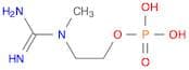 2-(1-Methylguanidino)ethyl dihydrogen phosphate
