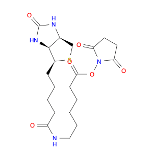 2,5-Dioxopyrrolidin-1-yl 6-(5-((3aS,4S,6aR)-2-oxohexahydro-1H-thieno[3,4-d]imidazol-4-yl)pentanami…