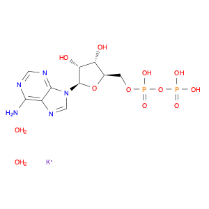 Adenosine 5'-diphosphate monopotassium salt dihydrate