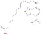 12-(7-NITROBENZOFURAZAN-4-YLAMINO)DODECANOIC ACID