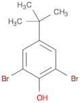 2,6-Dibromo-4-(tert-butyl)phenol