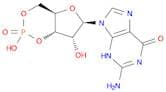 Guanosine 3',5'-monophosphate