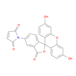 Fluorescein-5-maleimide