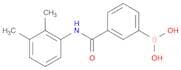 3-Borono-N-(2,3-dimethylphenyl)benzamide