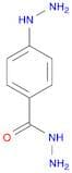 4-HYDRAZINYL-BENZOIC ACID HYDRAZIDE
