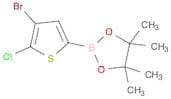 4-Bromo-5-chlorothiophene-2-boronic acid, pinacol ester