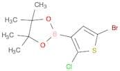 2-(5-BROMO-2-CHLOROTHIOPHEN-3-YL)-4,4,5,5-TETRAMETHYL-1,3,2-DIOXABOROLANE