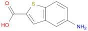 5-Amino-1-benzothiophene-2-carboxylic acid