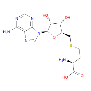S-Adenosyl-L-homocysteine