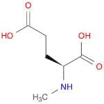 (S)-2-(Methylamino)pentanedioic acid