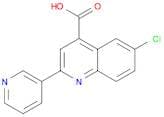 6-Chloro-2-pyridin-3-ylquinoline-4-carboxylic acid