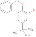1-Benzyloxy-2-bromo-4-t-butylbenzene