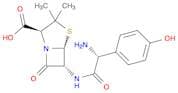 (2S,5R,6R)-6-[(2R)-2-amino-2-(4-hydroxyphenyl)acetamido]-3,3-dimethyl-7-oxo-4-thia-1-azabicyclo[3.…