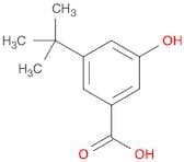 3-T-Butyl-5-hydroxybenzoic acid