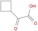 2-Cyclobutyl-2-oxoacetic acid