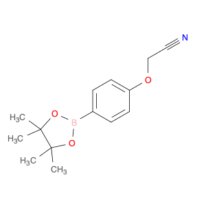 4-CYANOMETHOXY-PHENYLBORONIC ACID, PINACOL ESTER