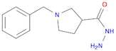 1-Benzyl-pyrrolidine-3-carboxylic acid hydrazide