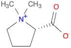 (S)-1,1-Dimethylpyrrolidin-1-ium-2-carboxylate