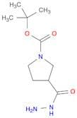 tert-Butyl 3-(hydrazinecarbonyl)pyrrolidine-1-carboxylate