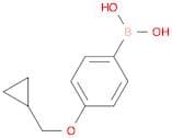 (4-(Cyclopropylmethoxy)phenyl)boronic acid