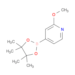 2-Methoxypyridine-4-boronic acid, pinacol ester