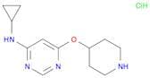 N-Cyclopropyl-6-(piperidin-4-yloxy)pyrimidin-4-amine hydrochloride