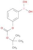 3-t-Butoxycarboxyphenylboronic acid