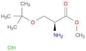H-Ser(tBu)-OMe.HCl