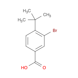 3-BROMO-4-TERT-BUTYLBENZOICACID