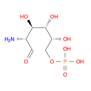 2-Amino-2-deoxy-D-glucose 6-phosphate