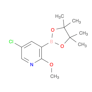 5-Chloro-2-methoxy-3-(4,4,5,5-tetramethyl-1,3,2-dioxaborolan-2-yl)pyridine