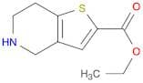 Ethyl 4,5,6,7-tetrahydrothieno[3,2-c]pyridine-2-carboxylate