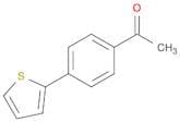 Ethanone,1-[4-(2-thienyl)phenyl]-