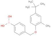 4-[(4-tert-Butyl-2-methylphenoxy)methyl]phenylboronic acid