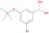 3-Bromo-5-(trifluoromethoxy)phenylboronic acid