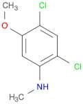 2,4-Dichloro-5-methoxy-N-methylaniline