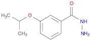 3-Isopropoxybenzohydrazide