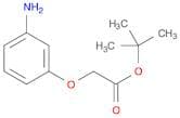Acetic acid, (3-aminophenoxy)-, 1,1-dimethylethyl ester