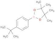 4-t-Butylphenylboronic acid, pinacol ester