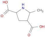 5-Methylpyrrolidine-2,4-dicarboxylic acid