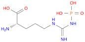 (S)-2-Amino-5-(3-phosphonoguanidino)pentanoic acid