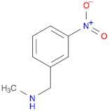 N-Methyl-1-(3-nitrophenyl)methanamine